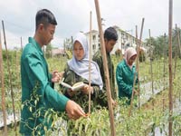 Program Perkuliahan Karyawan Nomor 10